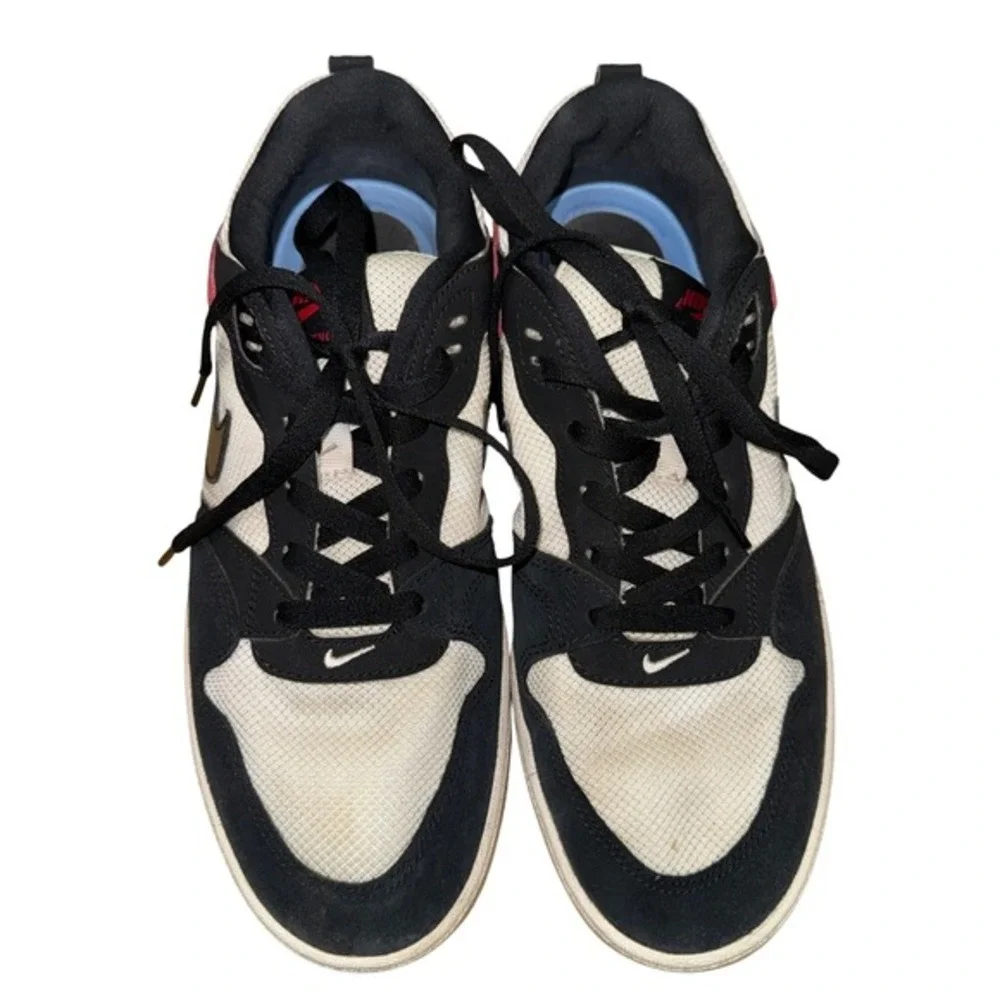 Nike sb alleyoop